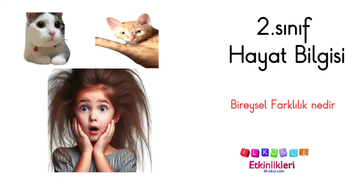 2-sinif-bireysel-farklilik-nedir